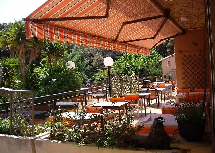 Hotel Les Palmiers