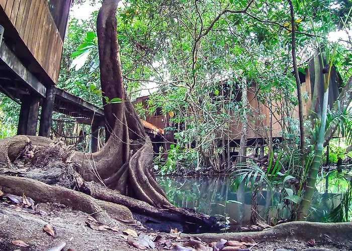 Hotel Kangaroo Y Restaurante
