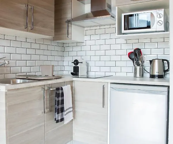 Stunning Renovated Studio With Mezzanine