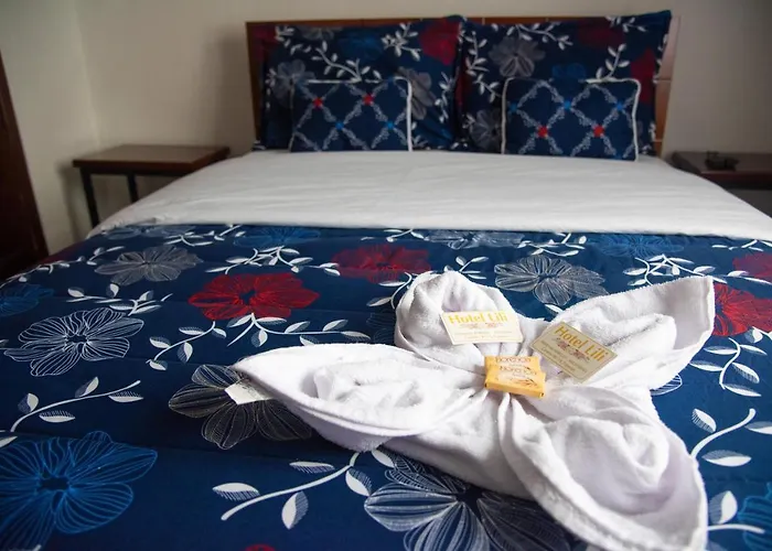 Hotel Lili - Popayan