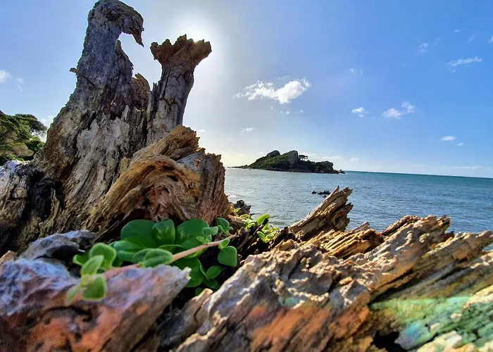 Goat Island Bungalow