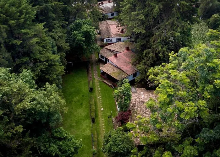 Lago Sol Hotel & Suites