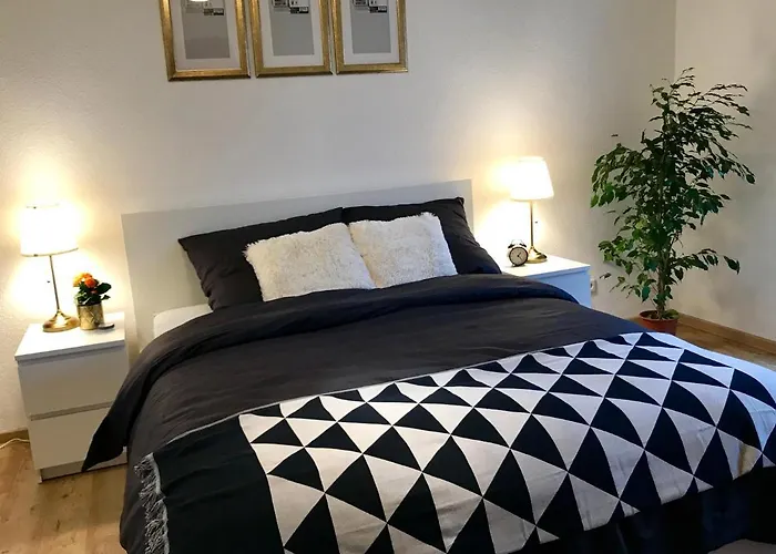 Homey 1Br Business Apartment, Sofa Bed, Fast Wifi, Free Parking, Near Basf