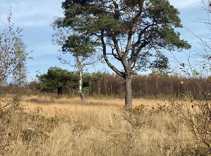 Landhausidylle