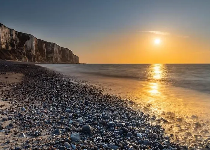 O Pied Marin