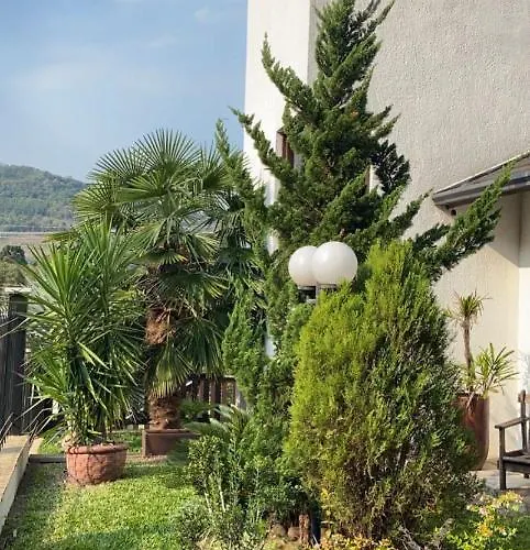 Flat Deluxe2 Gramado