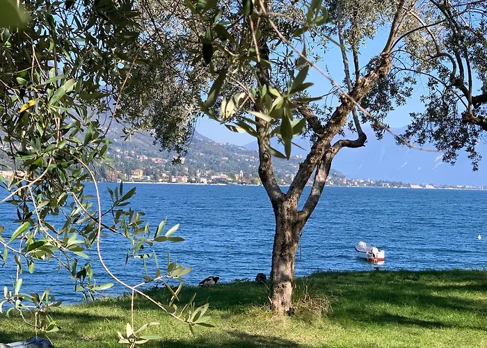 Magnolie Garda