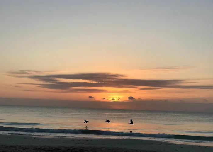 Chavez Eco Beach Camping And Cabanas