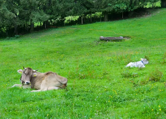 Ferienwohnung Grüntenpanorama im Jägerwinkl Allgäu