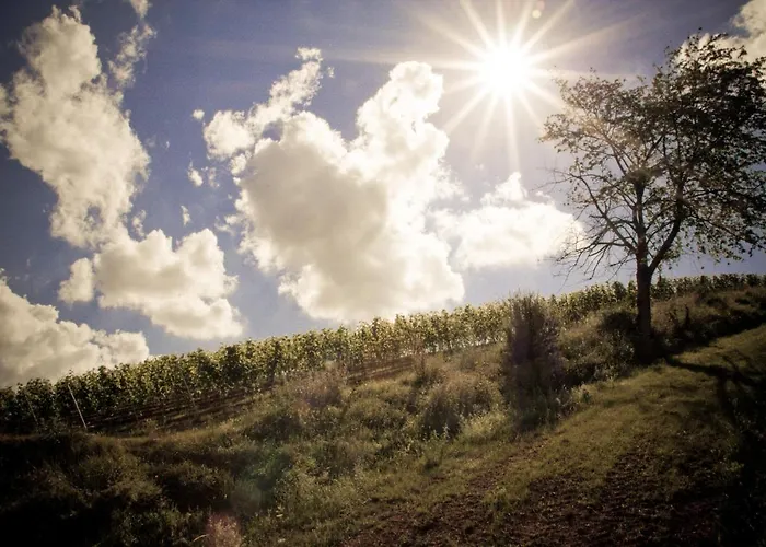 Landhotel&Weingut Espenhof