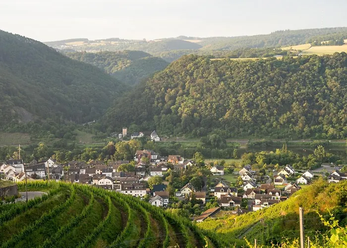 Hotel Moselblick