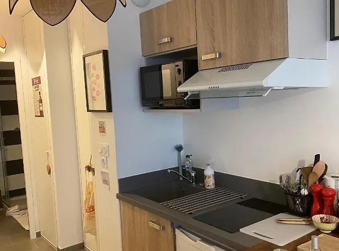 Joli Petit Nid Douillet En Centre Ville