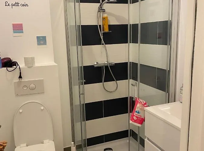 Joli Petit Nid Douillet En Centre Ville