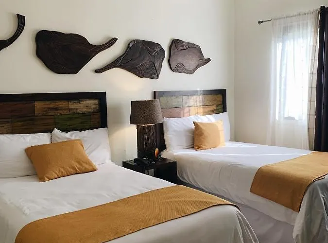 Hotel Tekapa