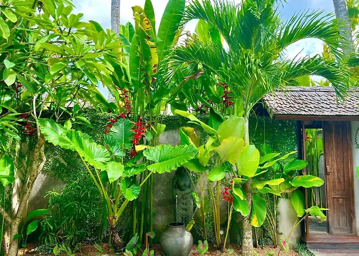 Jati Kuta Lombok