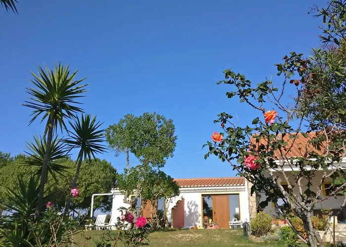Quinta Reuffurth