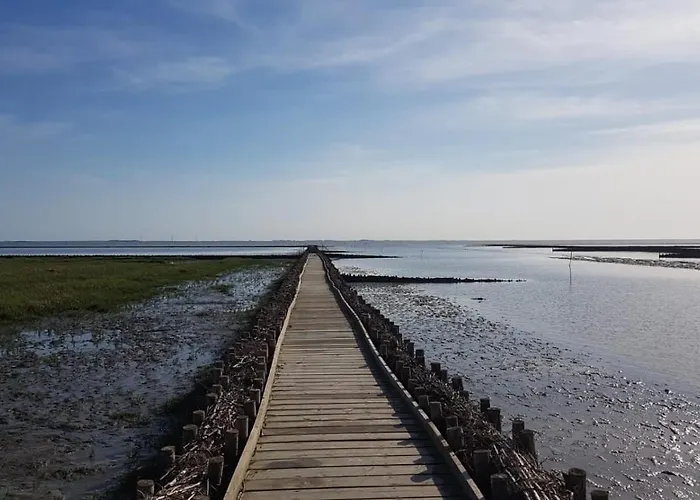 Deichhus Nordseeliebe direkt am Deich - Nordsee - Dagebüll - Am Vogelreservat
