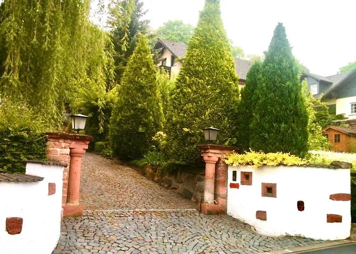 3 Zimmer Loft mit Sauna&Garten in Ortenberg