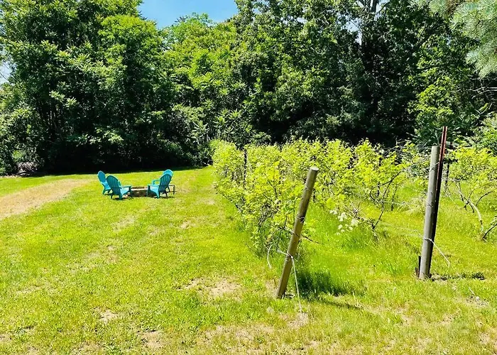 Newly Renovated Carriage House Near Town & Beaches