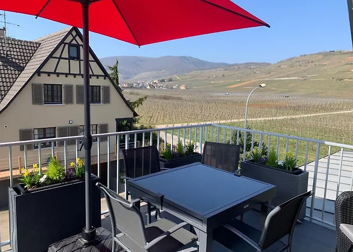 Gite Les Terrasses Du Mambourg A Kaysersberg-Vignoble