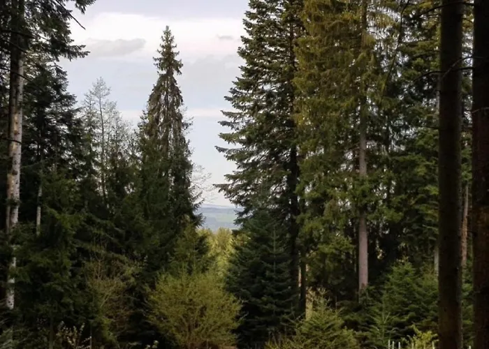 Ferienappartement am Nadenberg