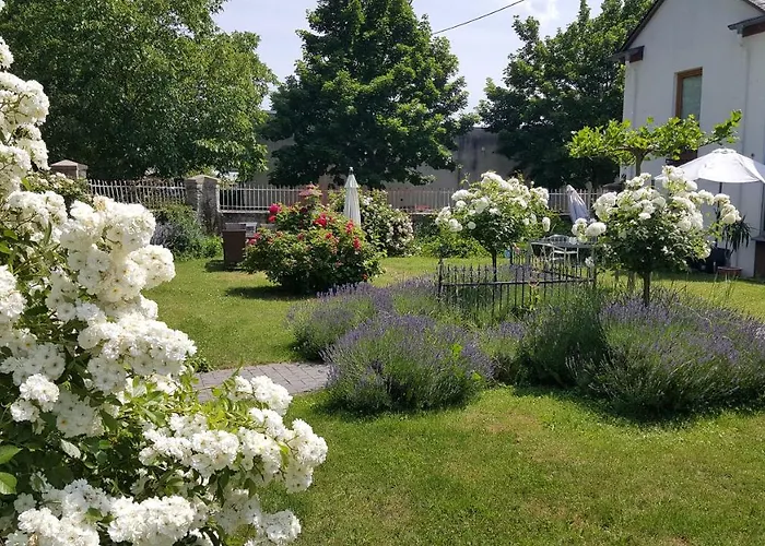 Ferienwohnung Brauneberger Juffer im Alten Pfarrhaus