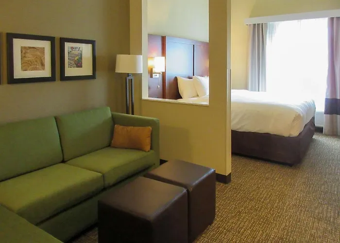 Comfort Suites Summerville