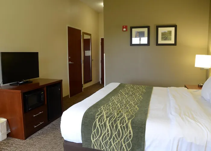 Comfort Inn & Suites Cave City