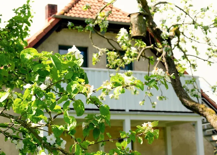 Ferienwohnung Rohlffs Stolpe auf Usedom