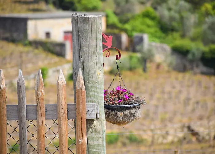 Quinta Dos Padrinhos - Suites In The Heart Of The Douro