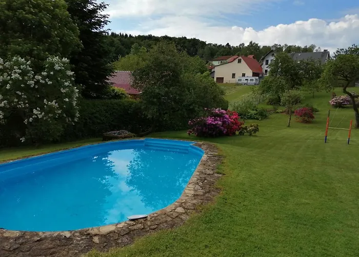 Waldblick