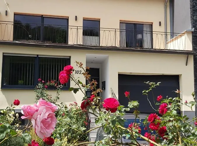 Ferienwohnung Zum Klosterruinenblick