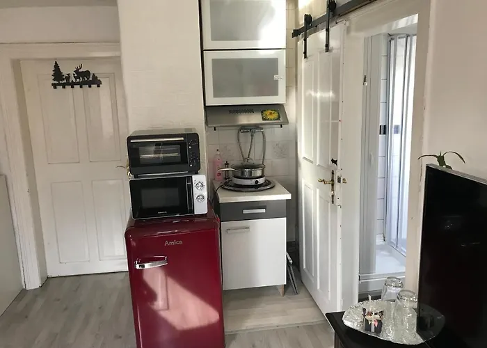 Ferienwohnung im Einfamilienhaus, Automobil und Robert Schumann Stadt Zwickau