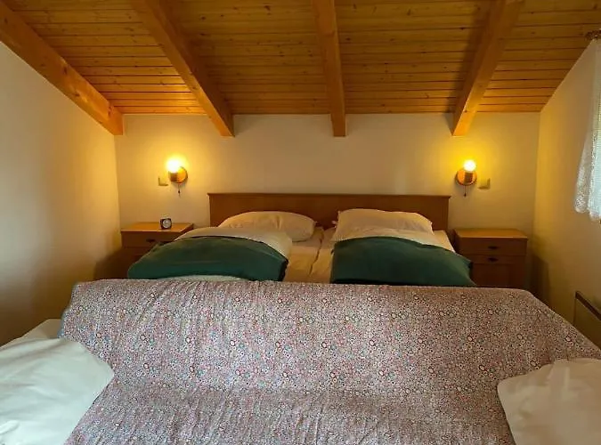 Ferienhaus im Waldferiendorf Regen