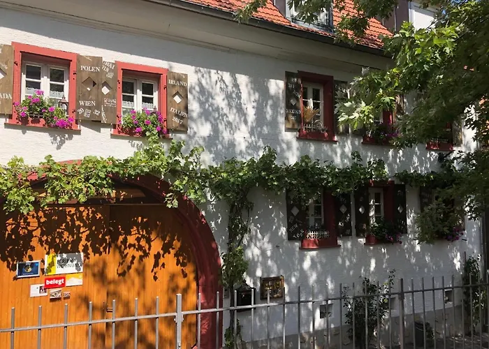 Phönix aus der Asche