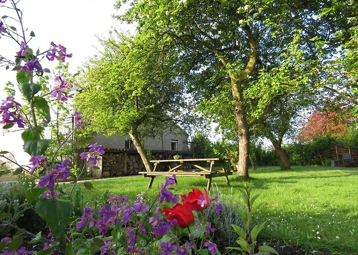 In De Boomgaard