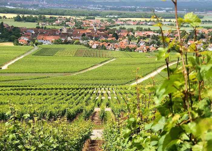Gasthof zum Rödelseer Schwan