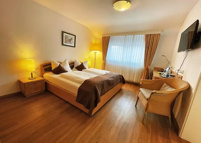 Albhotel Malakoff - House Of Nature