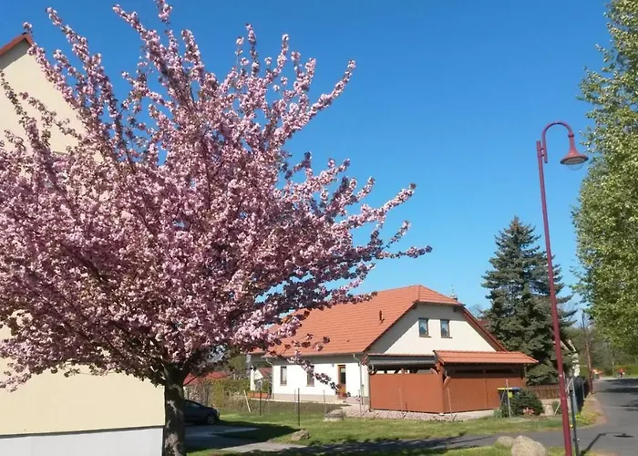 Ferienwohnung Störmthaler See