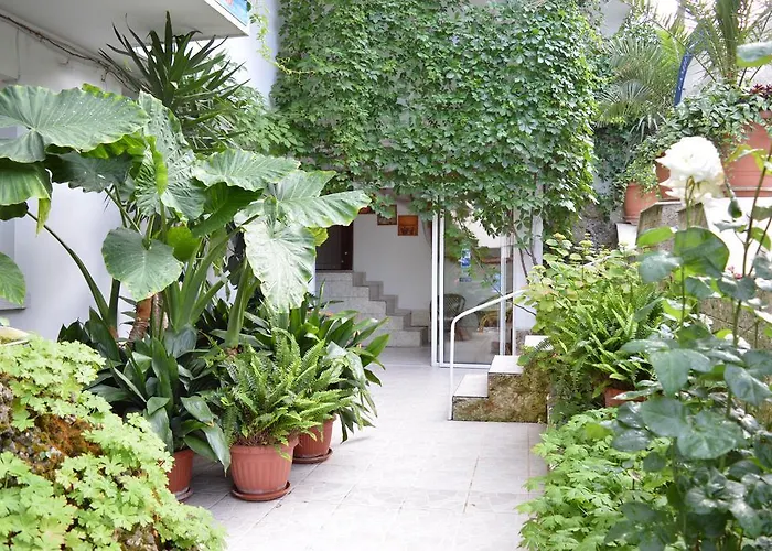 Family Hotel Sofi