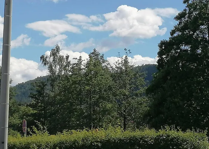 Töpferblick