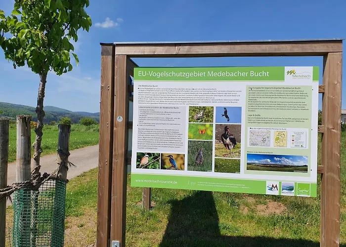 Fewo TaLuLa - Sauerland mit Hund