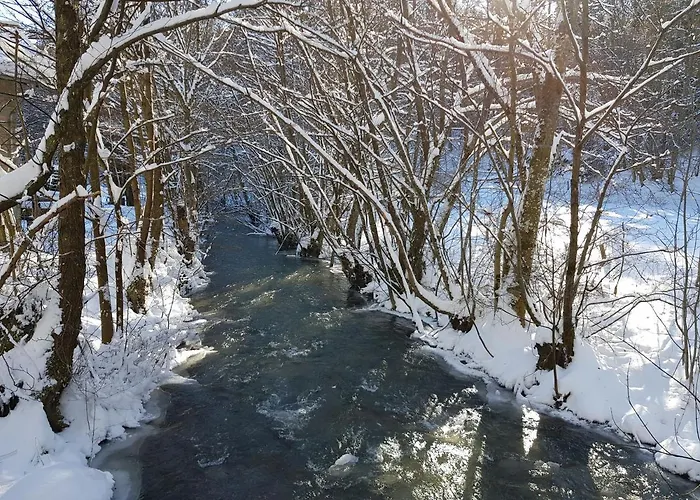 Fewo TaLuLa - Sauerland mit Hund
