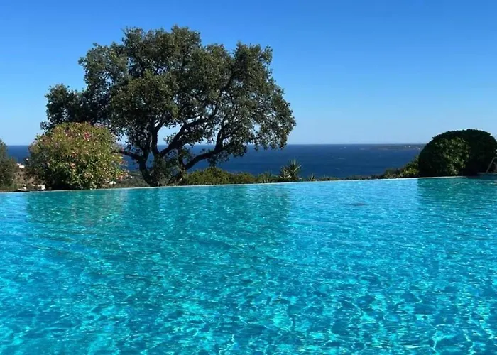 Appartement Climatise Avec Terrasse Et Apercu Mer - Golfe De Saint-Tropez