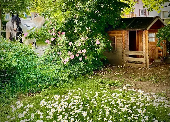 Rohrachhof