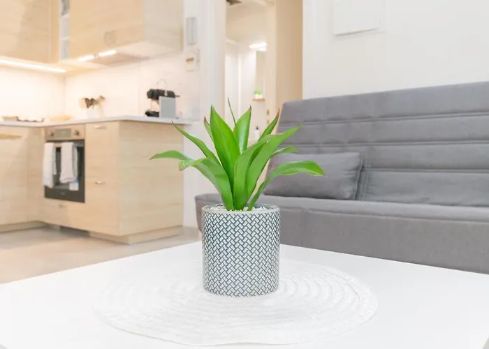 Nice City Center Apartment