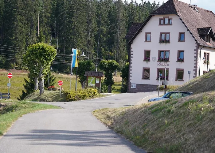 Schwarzwaldblick