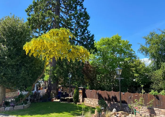 Pinewood Cottage Apartment & B&B Inverness