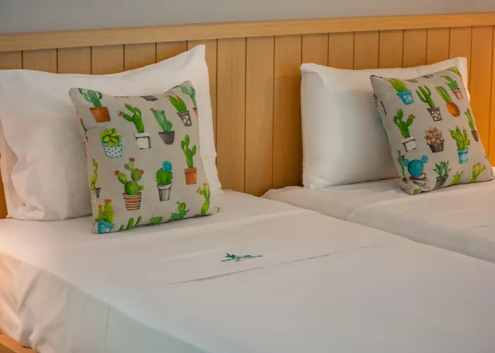 Cactus Hotel