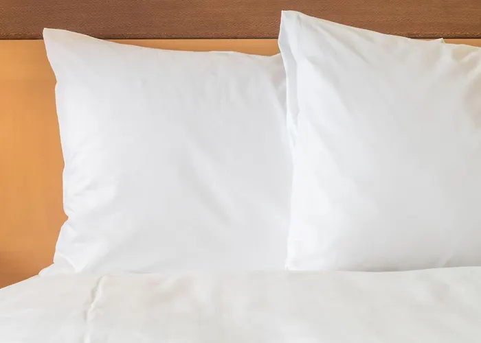 Holiday Inn Express Utrecht - Papendorp By Ihg